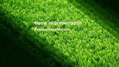 Green Grass PowerPoint Template by PoweredTemplate.com