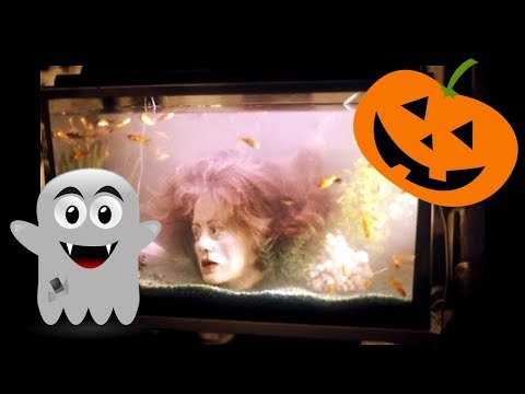 inspirational-fish-tanks-halloween-edition-🎃-halloween-themed-aquarium-ideas