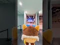 POV: you’re just a cat trying to check out Overwatch Day #shorts #overwatch #jetpackcat