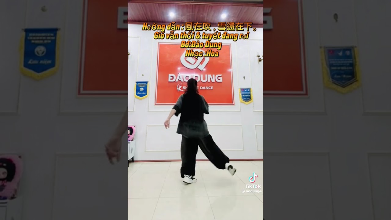 Nhảy cùng hướng:    Gió vẫn thổi  và  tuyết  vẫn rơi ( shuffle dance)Bđ Đào Dung shuffle dance 