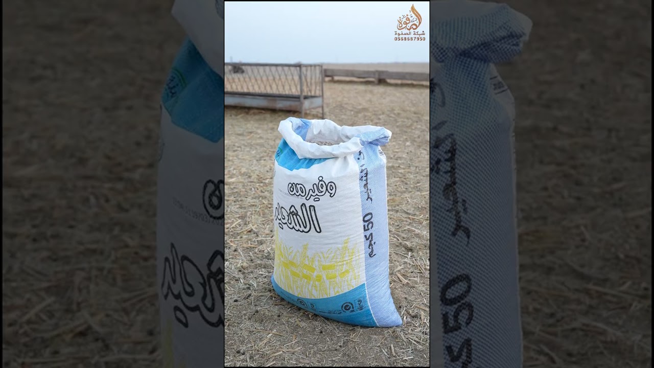 خبرات الحلقة الثالثة (  مشروع تربية الاغنام)