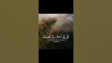 القارئ وديع اليمني سورة (الانعام)