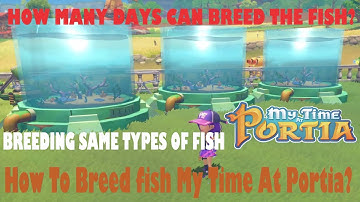 How To Breed Fish? & How many days can breed fish In My Time At Portia?