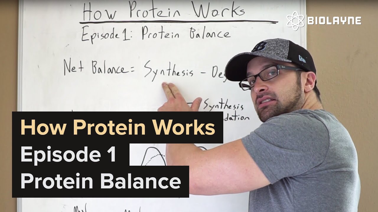 How Protein Works Episode 1 Protein Balance YouTube