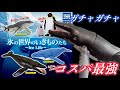 【ガチャガチャ】氷の世界のいきものたと〜Ice Life〜【@タカラトミーアーツ】開封&amp;レビューします。#capsuletoys