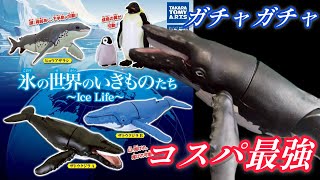 【ガチャガチャ】氷の世界のいきものたと〜Ice Life〜【＠タカラトミーアーツ】開封&レビューします。＃capsuletoys