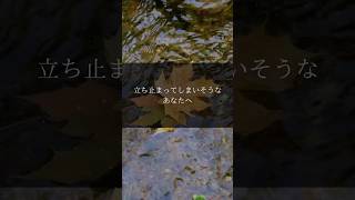 一日一生。今日を大切に生きるためのヒント【鴨長明】 #名言 #心に響く言葉 #自己肯定感 #言葉