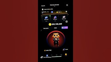 30 June Morse Code Hamster Kombat  | 1 Million Points Daily Cipher | Hamster kombat morse code