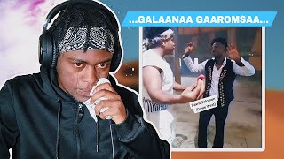 GELANA GAAROMSAA -Maaf Dida ? /jabu React#oromo_React