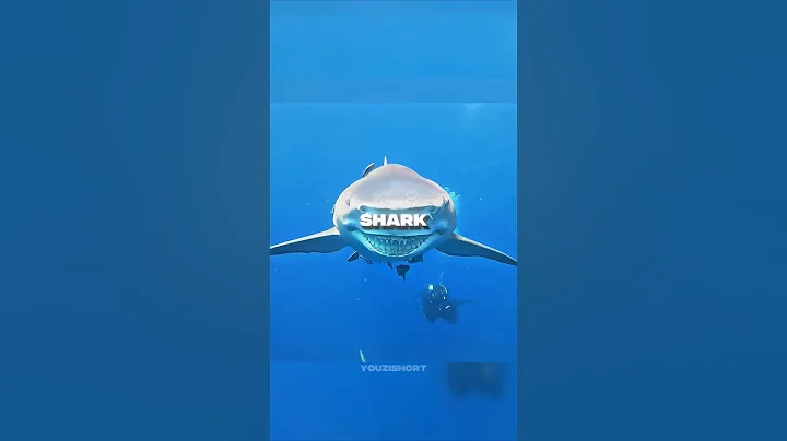 This Man Caught A Smiling Shark ❤️#shorts