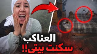 شوفو كيفاش لقيت بيتي😲 بعد مدة عامين وهو مشدود 🐁 عشو فيه الفيران والعناكب🐁 