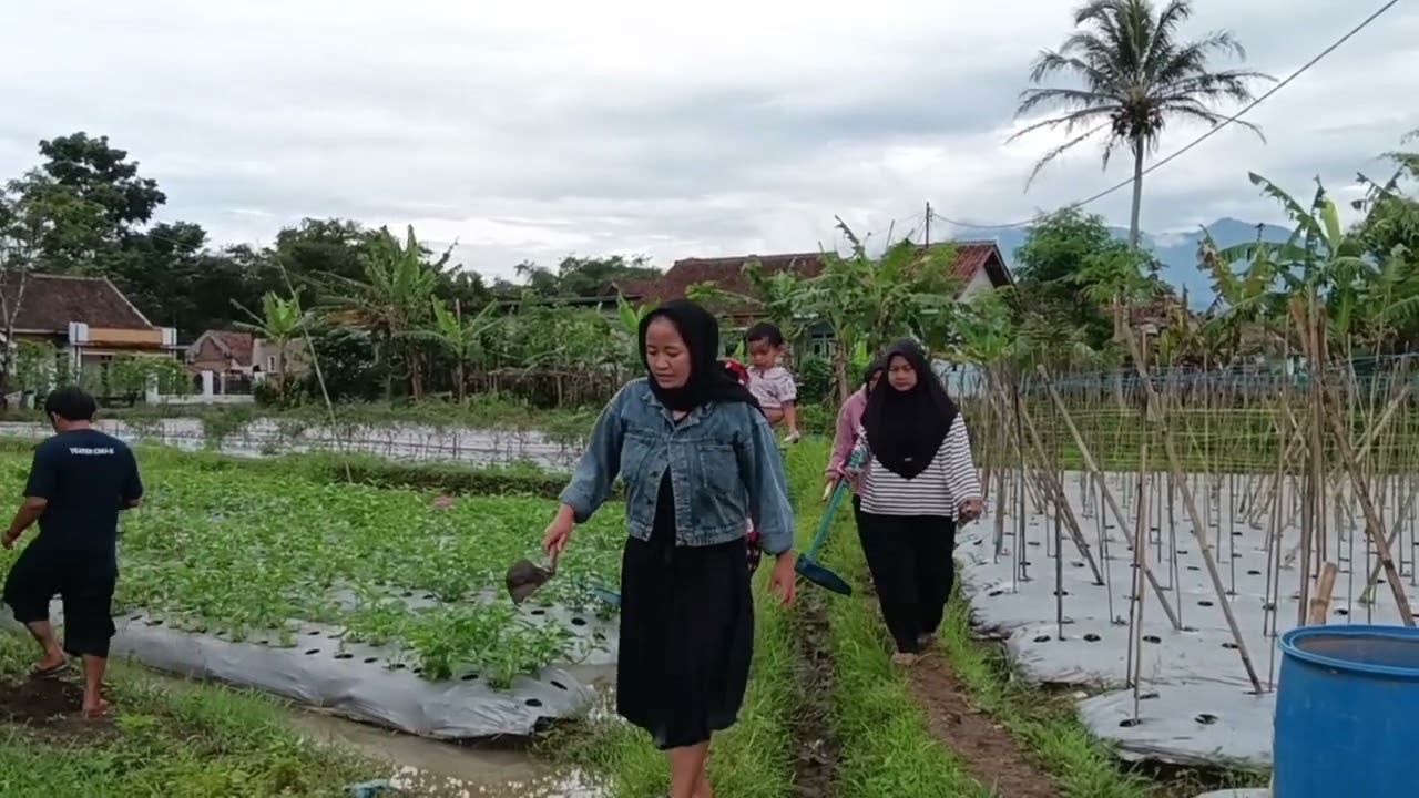 Kabawa ku sakaba kaba || cerpen komedi sunda #comedisunda 