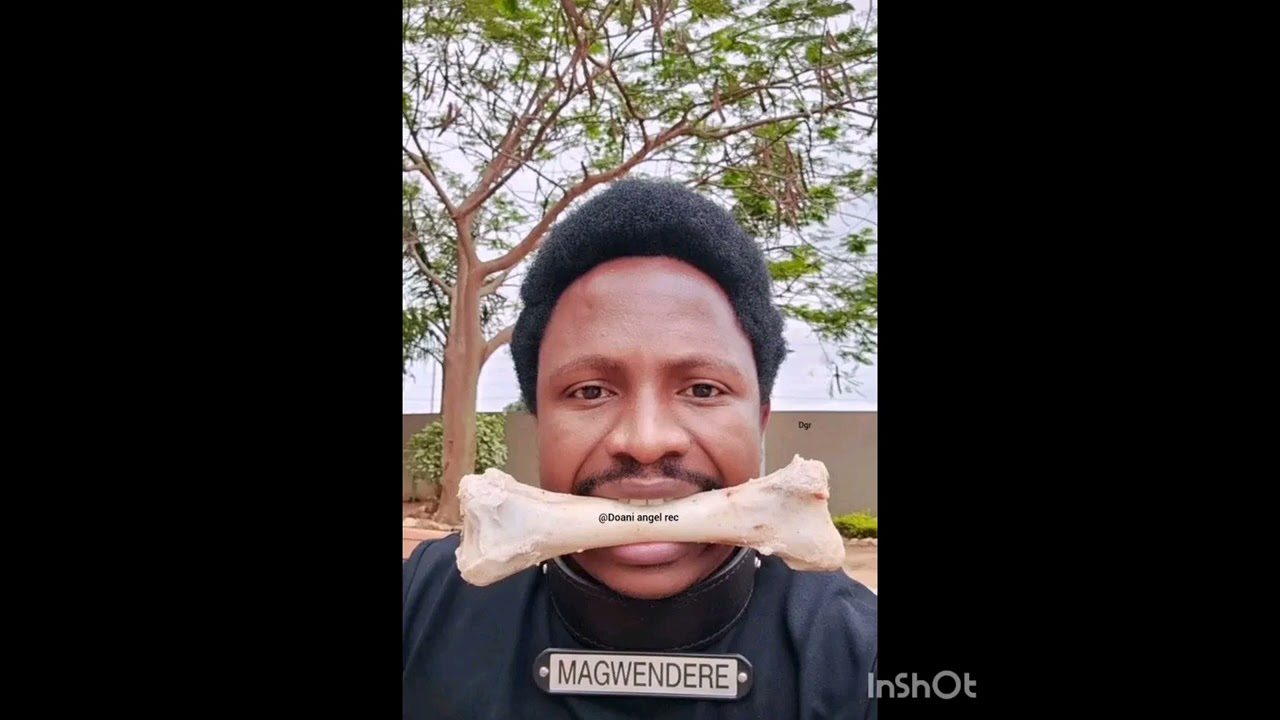 REFILER BOY MANGWENDER 2025