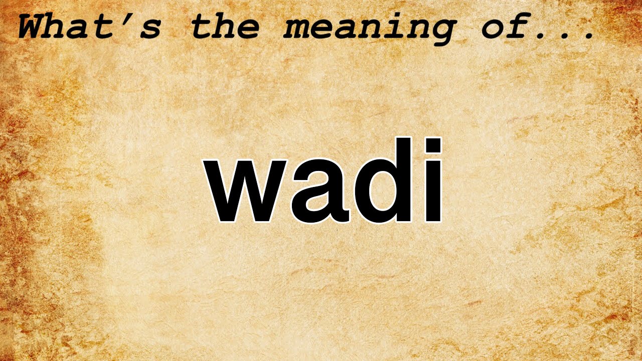 Wadi Meaning Definition of Wadi YouTube