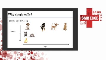 Recent Advances in Statistical Methods and... Part 1 - Rhonda Bacher - Tutorials - ISMB/ECCB 2019