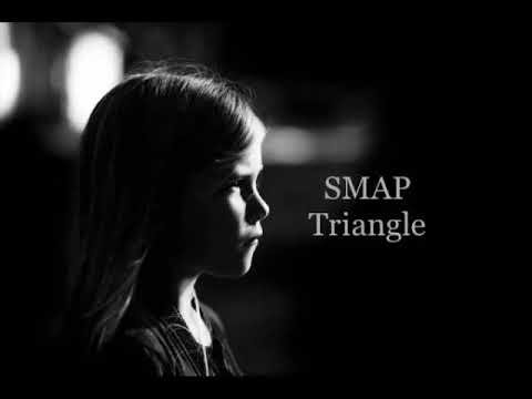 SMAP Triangle 歌ってみた