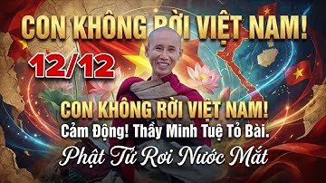 Cảm Động! Thầy Minh Tuệ Nói: "Con Không Có Rời Việt Nam" Phật Tử Rơi Nước.