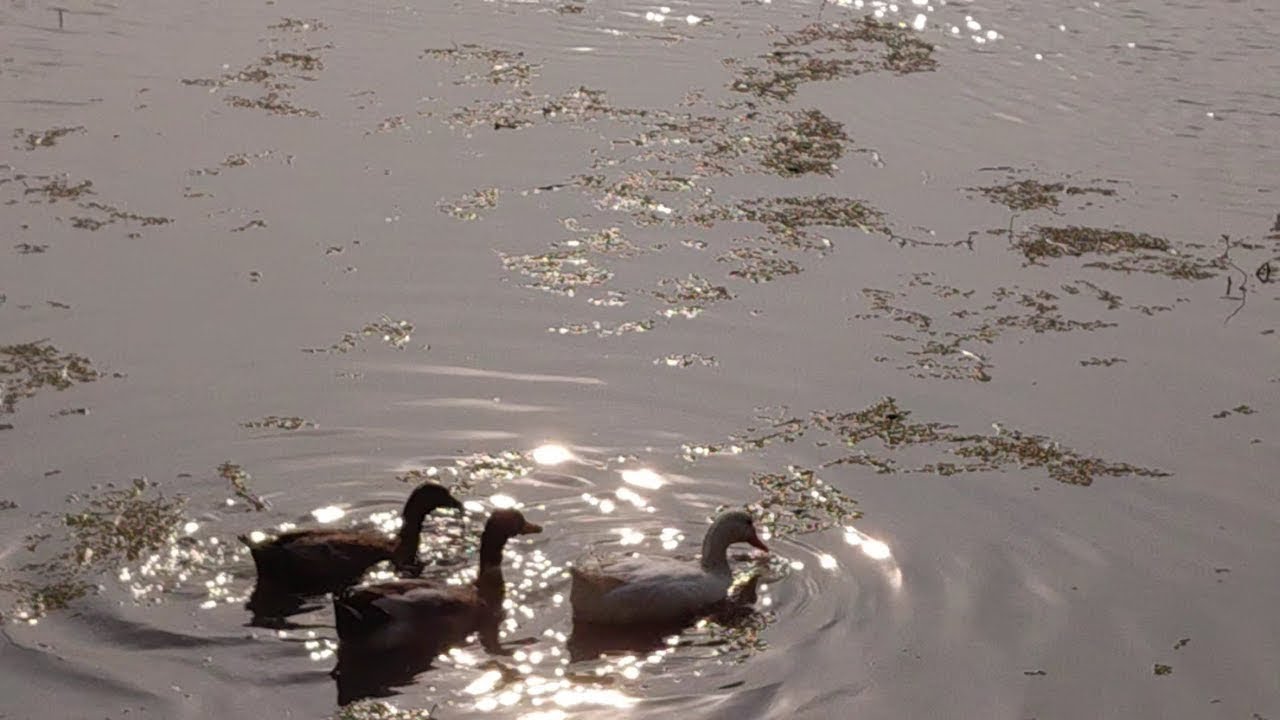 First cinematography |  jan 2026 