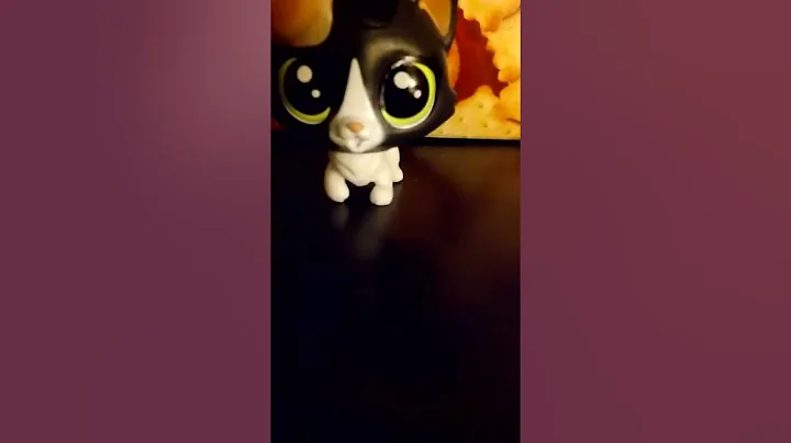 (I came from an adoption senter) preview