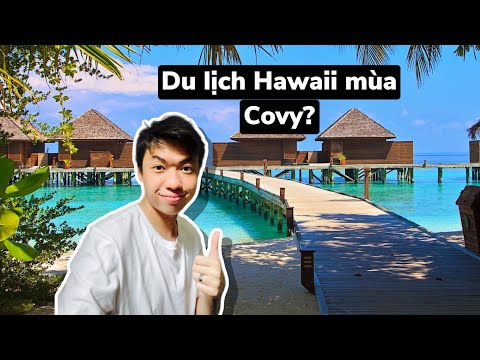 Video: Điều gì được coi là bán thời gian ở Hawaii?