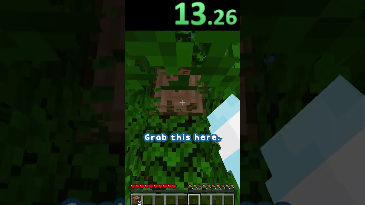 Speedrunning EVERY BLOCK in Minecraft - Coarse Dirt 