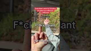 Stop Invasives and Plant Native