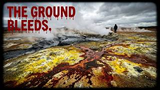 This Ground Is Bleeding Chemistry — Every Color Is a Warning You Can't Ignore