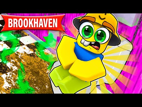 ROBLOX Brookhaven 🏡 RP - FUNNY MOMENTS | I NEED A POOP💩