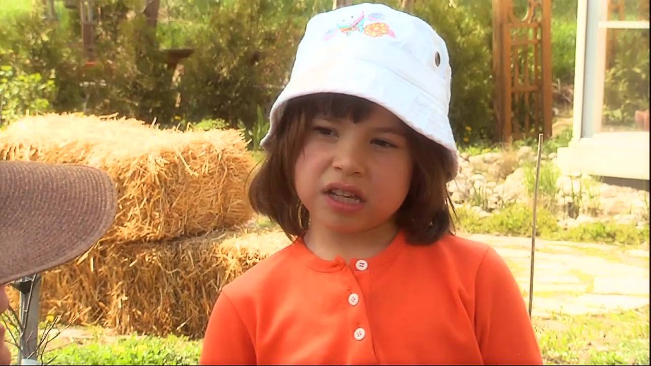 This Is Emily Yeung Learning About an Ecohouse YouTube