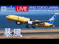 🔴LIVE【暴風】羽田空港ライブカメラ Windy Tokyo Haneda Airport Plane Spotting 3.21.2024🔴