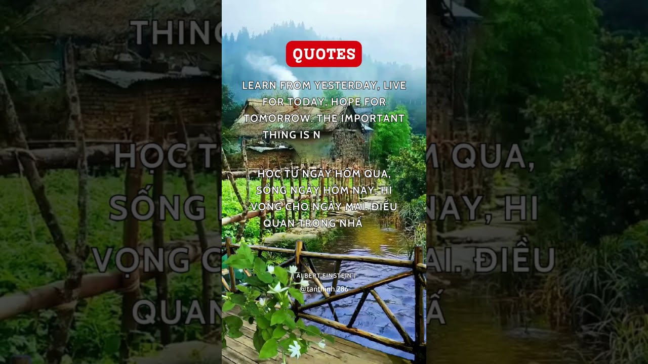 🔴 Những câu nói hay về học tập của người nổi tiếng_1 - youtube