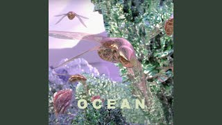 Ocean