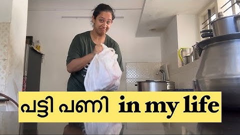 Home Vlog | Sowbhagya Venkitesh