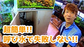 Eheim 外部式フィルターの呼び水 クラシックフィルター 失敗した時の復帰方法など エーハイムアンバサダー志藤範行氏 Youtube
