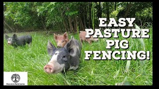 How To Train Pigs To Electric Fence  SIMPLE Setup That Works