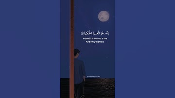 فَصَبْرٌ جَمِيلٌ || القارئ محمد هشام || حالات واتس اب دينية 💙🌿