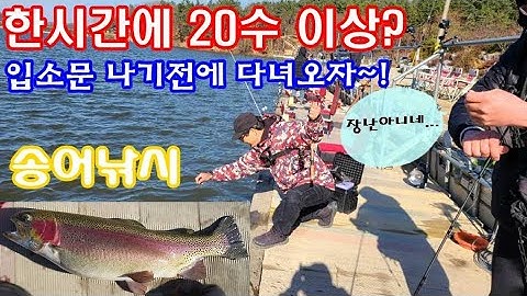 한시간에 20수이상 송어낚시 trout fishing 입소문 나기전에 다녀오자~!