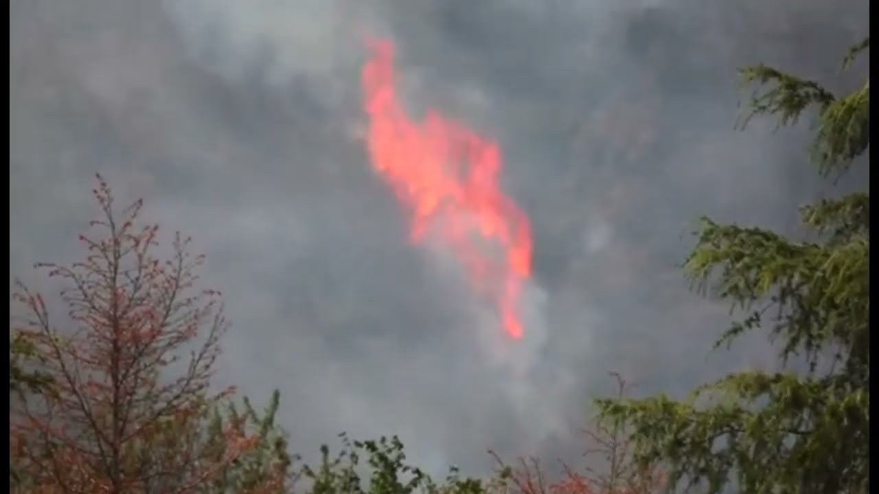 Water Bag and Dry powder Bomb Throwing with UAV for Fire Fighting