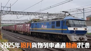 2025年10月貨物列車撮影記録まとめ(EF210、EF65、EH500・他)