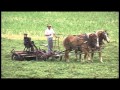 Amish Survive clip