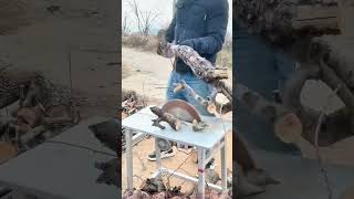 Simple Workbench + Circular Saw: New Way of Logging in the Countryside!