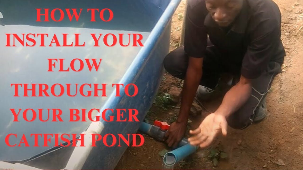 How to Install flow through to your bigger pond