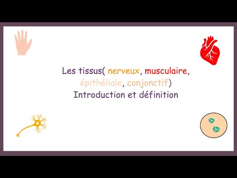 Les tissus(nerveux, musculaire, épithéliale, conjonctif)- Introduction, définition.