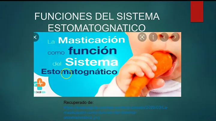 Video sistema estomatognatico Lina Cuenca