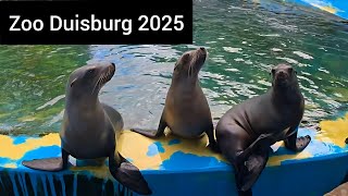 Rundgang Zoo Duisburg mit Delfinshow 2025