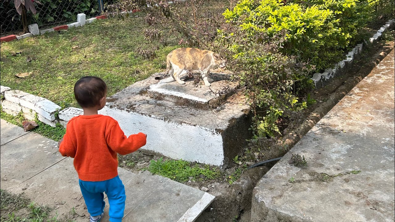 Our garden tour#garden makeover#armyquarter #airforce#simplegarden @prathyushaneligi4355 