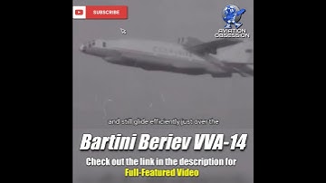 Bartini Beriev VVA-14