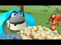CAUGHT ON CAMERA! 📸🐿️ | ARPO | Educational Kids Videos | Moonbug Kids