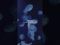 君がいなくても　demo
