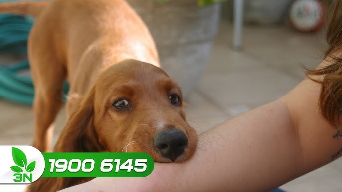 4. Dân gian kiêng kỵ & lưu ý khi ăn